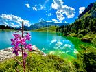 [Translate to Español:] 